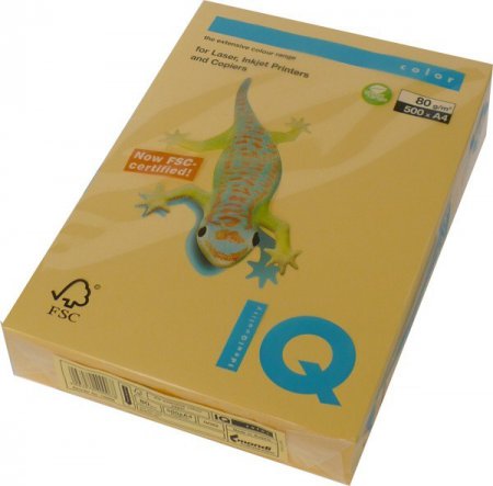 Barevný papír IQ A4 GO22 zlatá