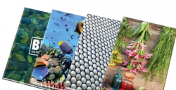 Záznamní kniha A5 linka 100l rejstřík